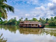 Divine South India: Temples, Heritage, and Backwater Serenity