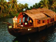 Enchanting Kerala: A Journey Through Backwaters and Beaches