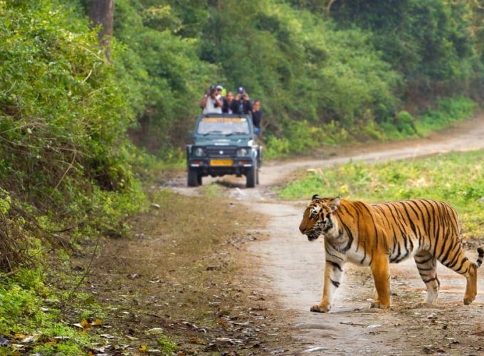 Divine Paths & Wild Tracks: Rishikesh & Corbett National Park Tour