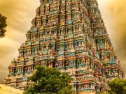 Chennai to Bangalore: Temples, Tea Estates & Royal Palaces Tour