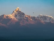 Nepal Explorer: Trekking, Culture, and Wildlife