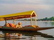 Tours from Srinagar