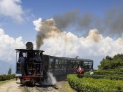 Eastern Himalaya Escapade: A Journey through Darjeeling, Pelling, Gangtok & Kalimpong