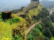 Mumbai to Mahabaleshwar: Discovering Hill Station Highlights