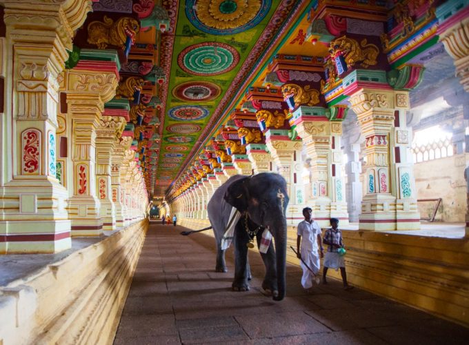 Sacred Journeys: Madurai to Rameshwaram Expedition