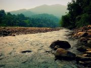 Nature and History Expedition: Similipal National Park & Ancient Buddhist Sites