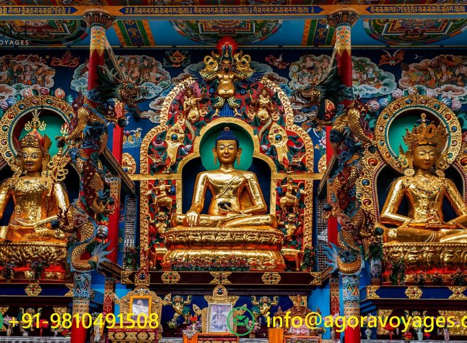 Mystical Monastery: Insights into Namdroling and Tibetan Buddhism